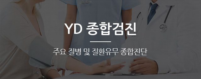 YD 종합검진