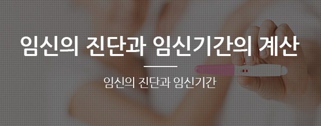 임신의 진단과 임신기간의 계산 