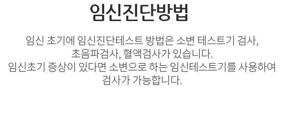 임신진단방법